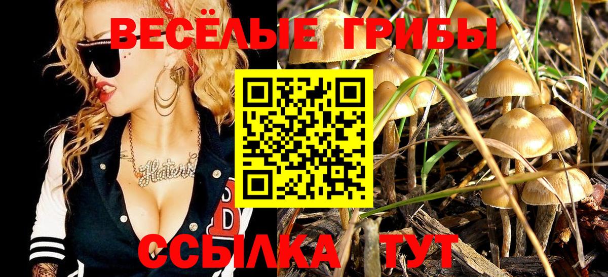 Моздок  Псилоцибиновые грибы GOLDEN TEACHER  Вход с VPN 